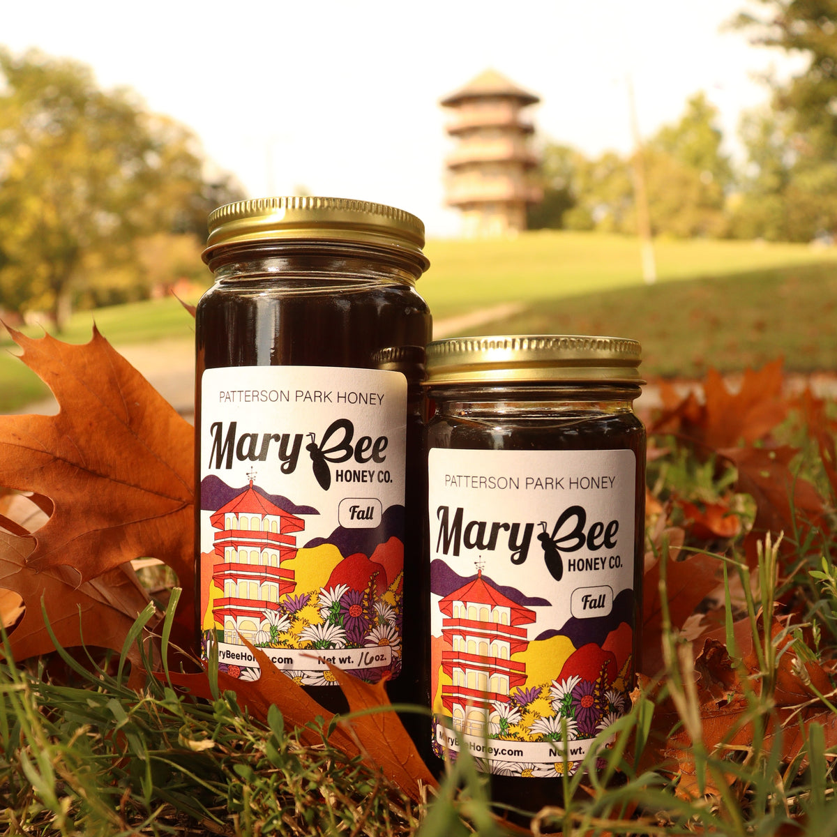 Patterson Park Raw Fall Honey