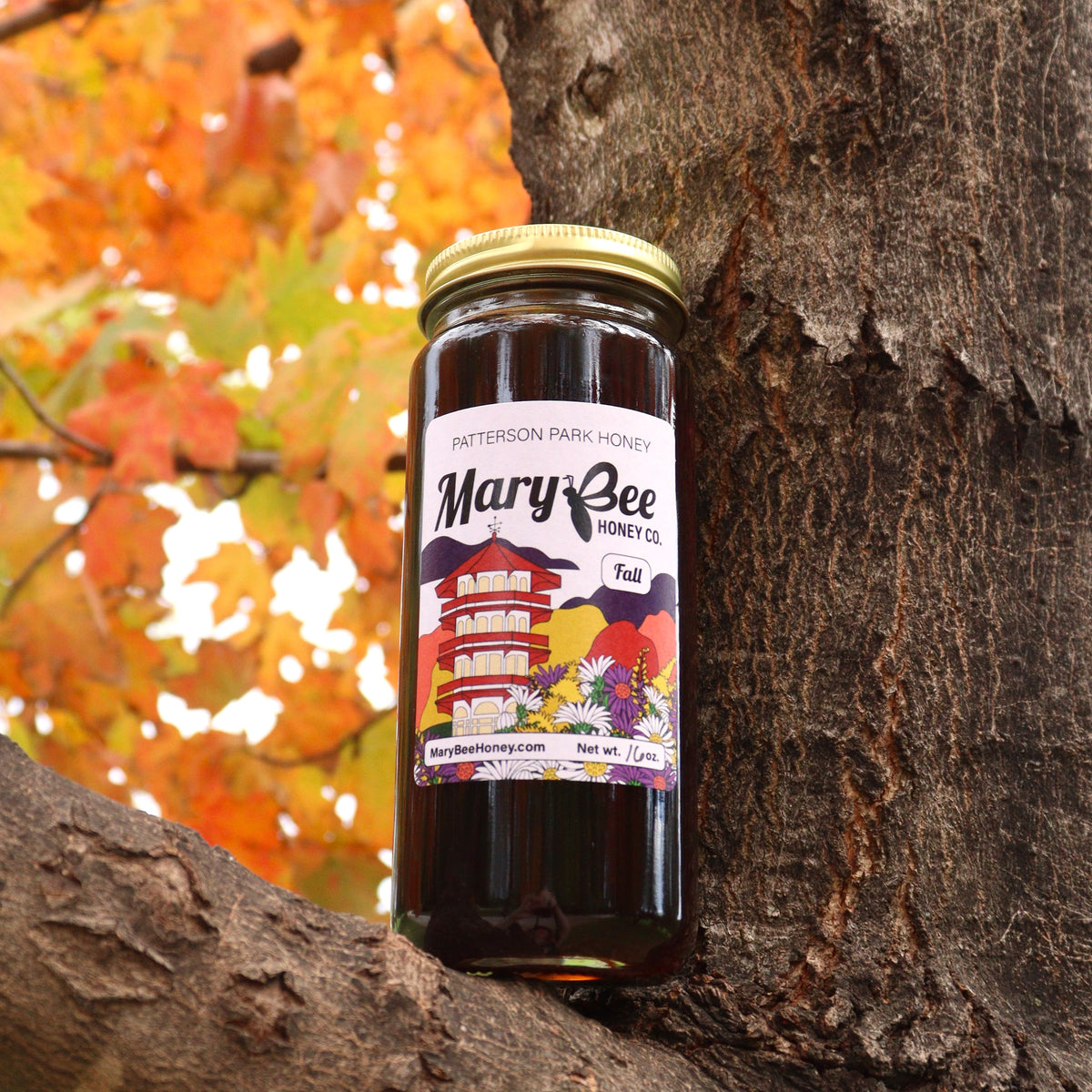 Patterson Park Raw Fall Honey